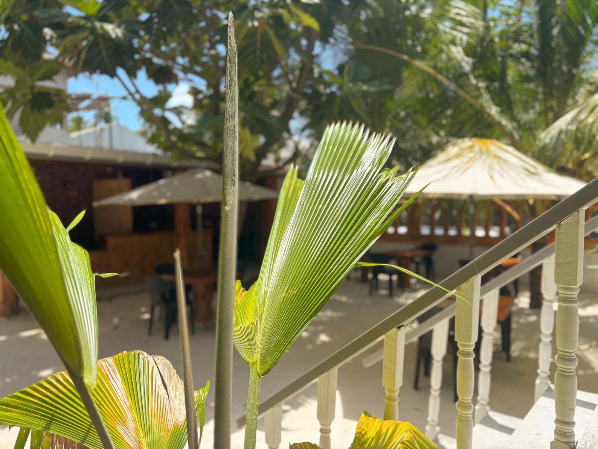 Mathiveri Thundi Inn Esterno foto